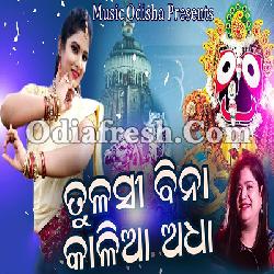 Tulasi Bina kalia Adha - Devotional Odia Song By Tapu Mishra
